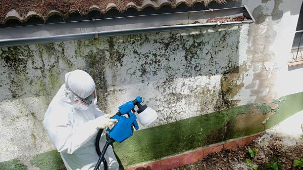 Top rated local Attic Mold Remediation specialists in Woodbury, TN